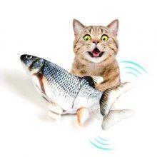 4903-387dab044e0f3e0b6a8b914bafdf3c7b.jpg